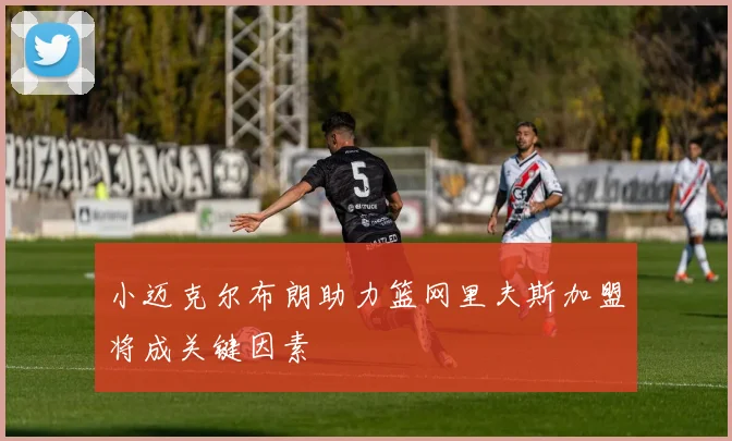 小迈克尔布朗助力篮网里夫斯加盟将成关键因素