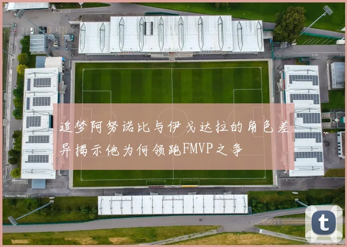 追梦阿努诺比与伊戈达拉的角色差异揭示他为何领跑FMVP之争